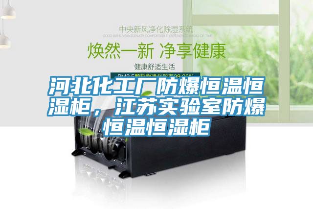 河北化工厂防爆恒温恒湿柜，江苏实验室防爆恒温恒湿柜