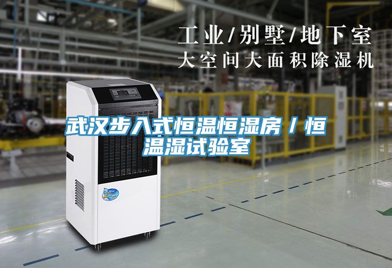 武汉步入式恒温恒湿房／恒温湿试验室