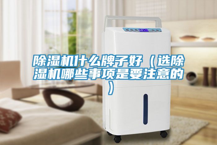 除湿机什么牌子好（选除湿机哪些事项是要注意的）