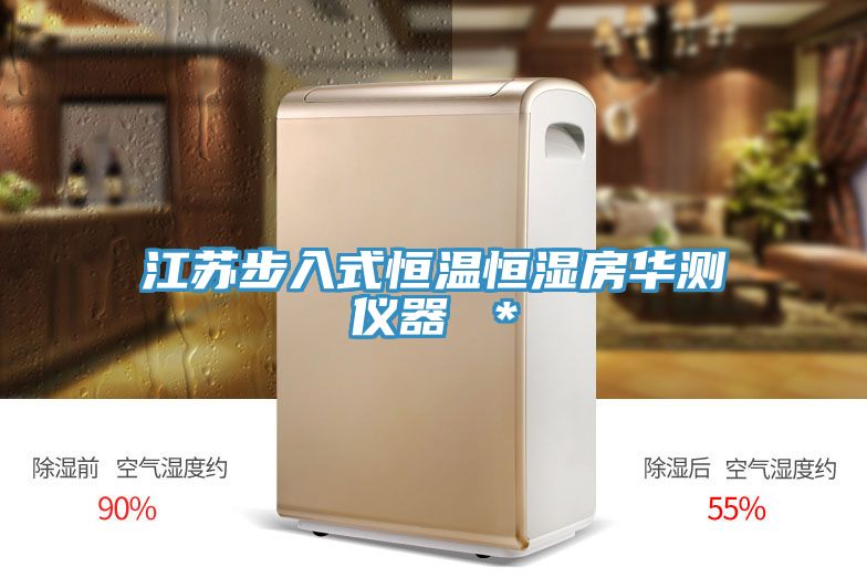 江苏步入式恒温恒湿房华测仪器 ＊