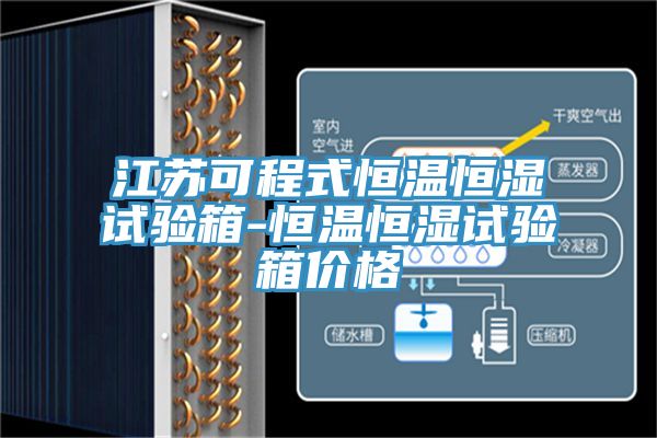 江苏可程式恒温恒湿试验箱-恒温恒湿试验箱价格