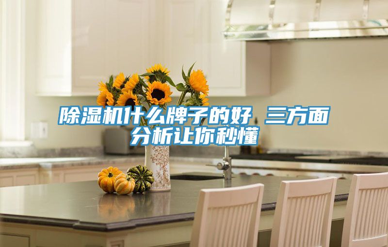 除湿机什么牌子的好 三方面分析让你秒懂