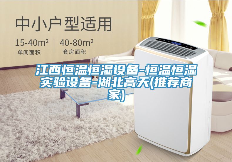 江西恒温恒湿设备-恒温恒湿实验设备-湖北高天(推荐商家)