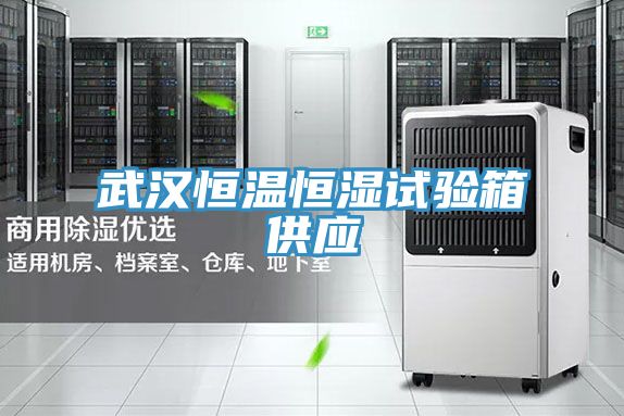 武汉恒温恒湿试验箱供应