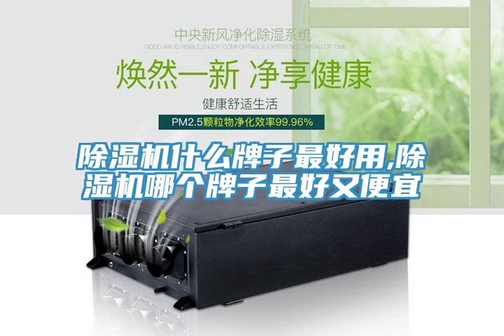 除湿机什么牌子最好用,除湿机哪个牌子最好又便宜