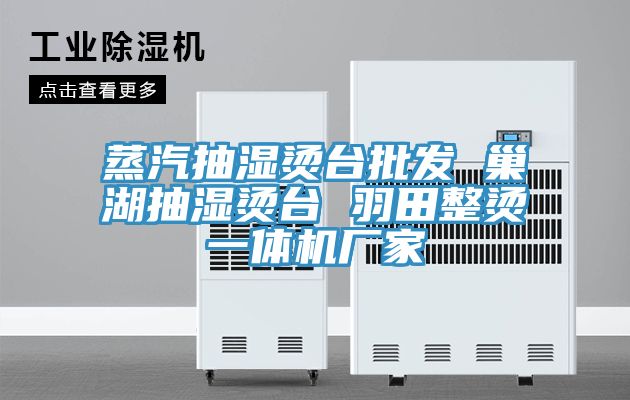 蒸汽抽湿烫台批发 巢湖抽湿烫台 羽田整烫一体机厂家