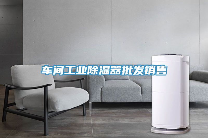 车间工业除湿器批发销售