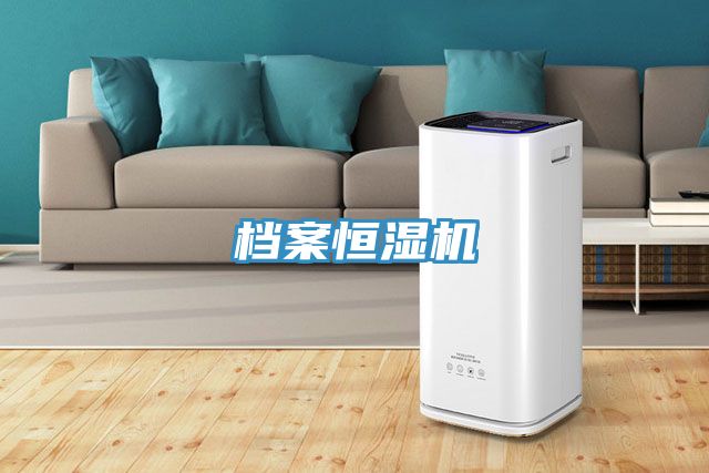 档案恒湿机