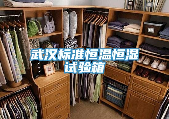 武汉标准恒温恒湿试验箱