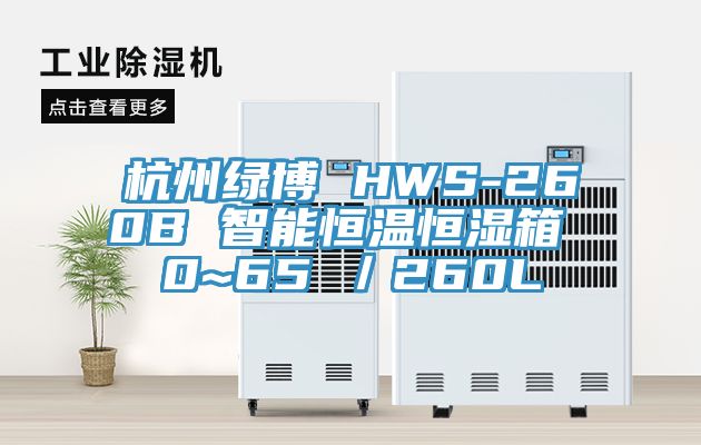 杭州绿博 HWS-260B 智能恒温恒湿箱 0~65℃／260L