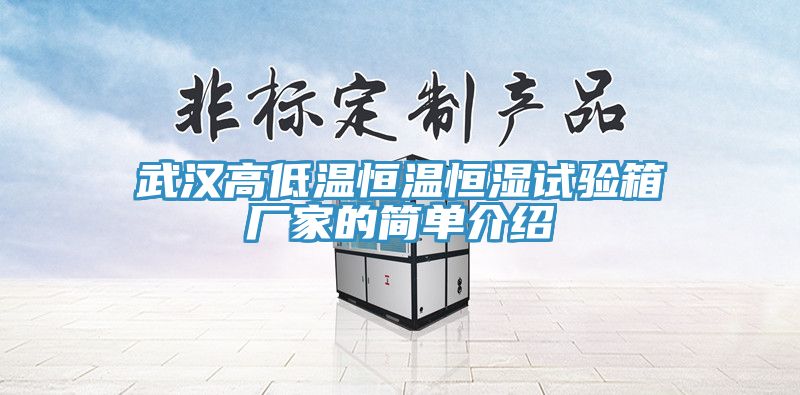 武汉高低温恒温恒湿试验箱厂家的简单介绍