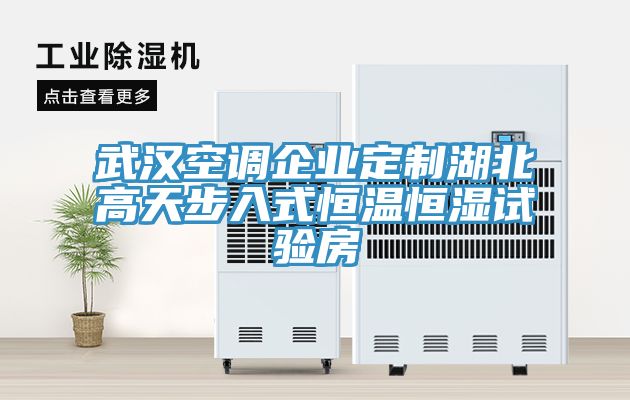 武汉空调企业定制湖北高天步入式恒温恒湿试验房
