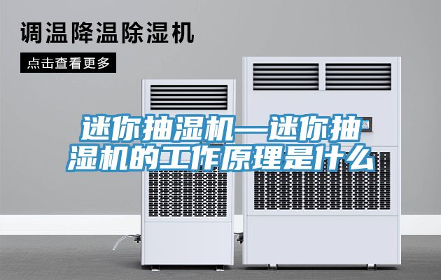 迷你抽湿机—迷你抽湿机的工作原理是什么