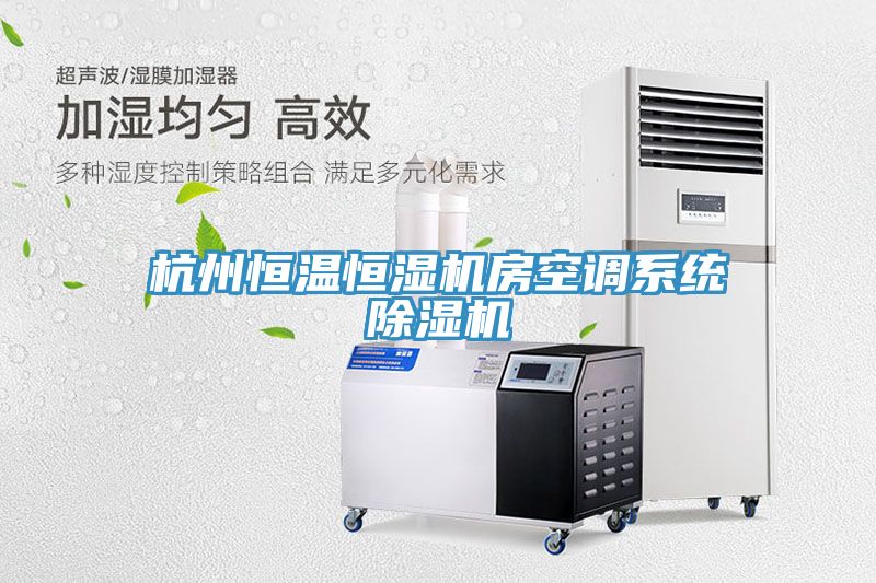 杭州恒温恒湿机房空调系统除湿机