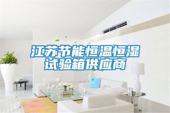江苏节能恒温恒湿试验箱供应商