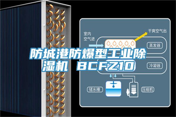 防城港防爆型工业除湿机 BCFZ10