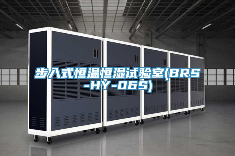 步入式恒温恒湿试验室(BRS-HY-06S)