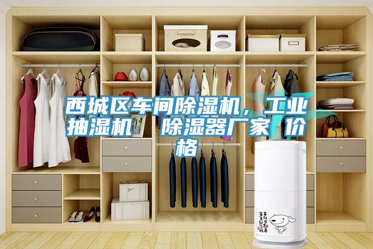 西城区车间除湿机，工业抽湿机  除湿器厂家 价格