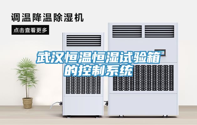 武汉恒温恒湿试验箱的控制系统
