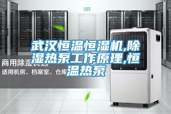 武汉恒温恒湿机,除湿热泵工作原理,恒温热泵
