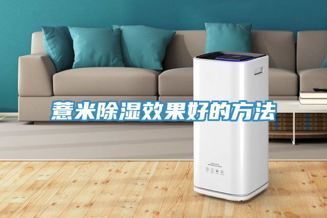 薏米除湿效果好的方法