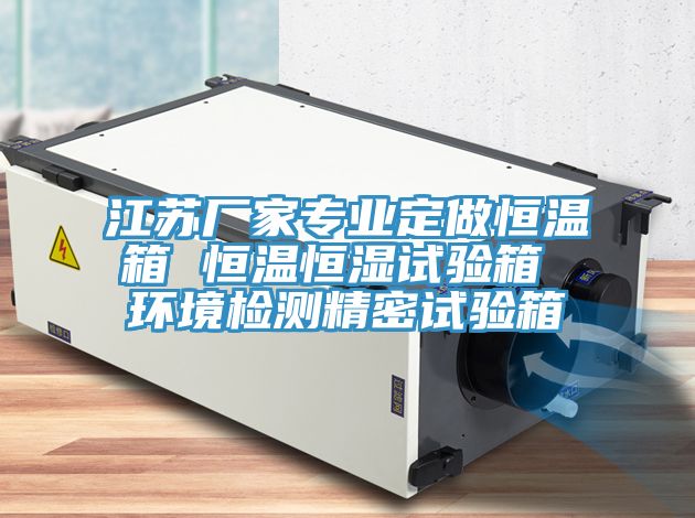 江苏厂家专业定做恒温箱 恒温恒湿试验箱 环境检测精密试验箱