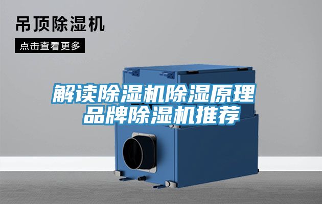 解读除湿机除湿原理 品牌除湿机推荐