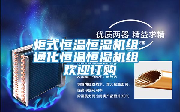 柜式恒温恒湿机组 通化恒温恒湿机组 欢迎订购
