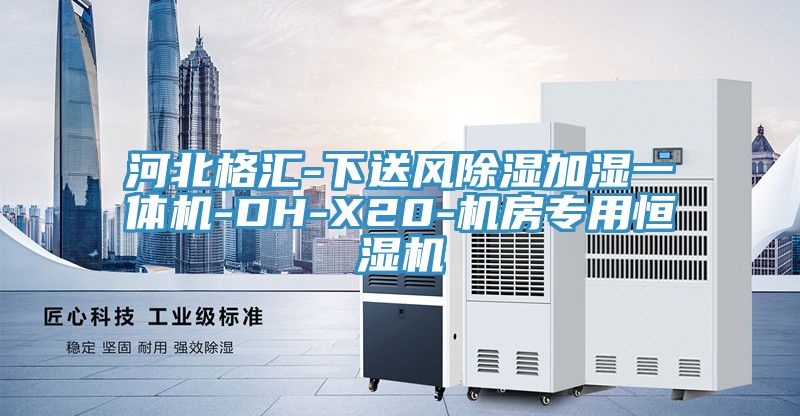 河北格汇-下送风除湿加湿一体机-DH-X20-机房专用恒湿机