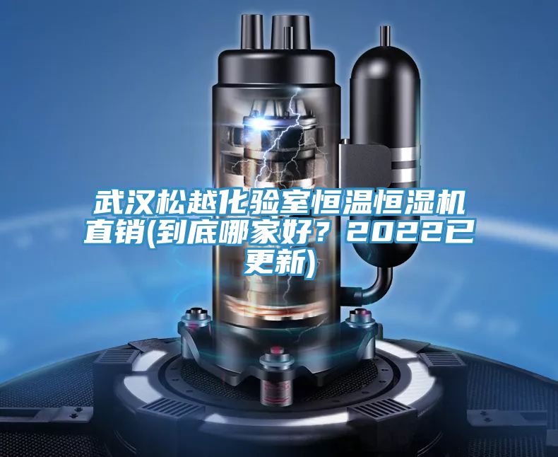 武汉松越化验室恒温恒湿机直销(到底哪家好？2022已更新)