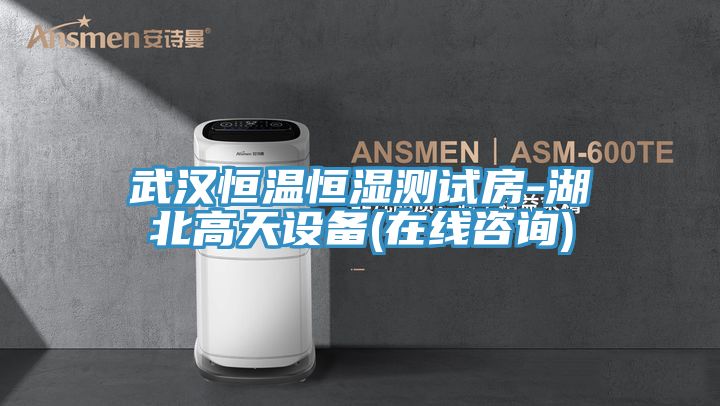 武汉恒温恒湿测试房-湖北高天设备(在线咨询)
