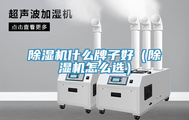 除湿机什么牌子好（除湿机怎么选）