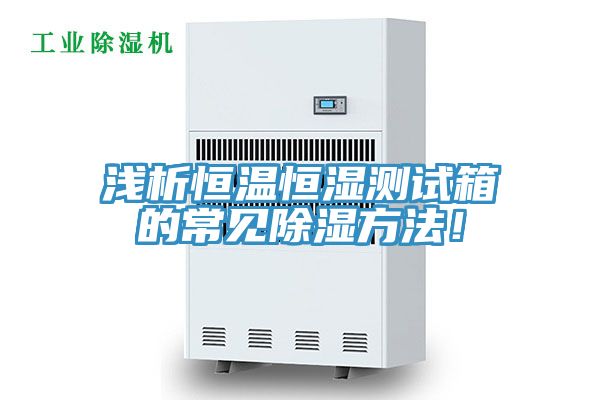 浅析恒温恒湿测试箱的常见除湿方法！