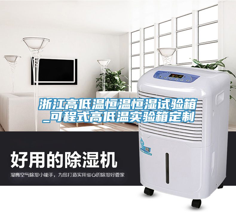浙江高低温恒温恒湿试验箱_可程式高低温实验箱定制