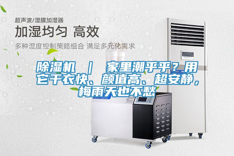 除湿机 ｜ 家里潮乎乎？用它干衣快、颜值高、超安静，梅雨天也不愁