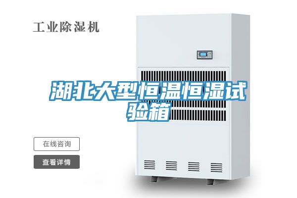 湖北大型恒温恒湿试验箱