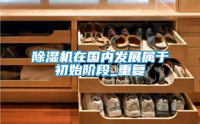 除湿机在国内发展属于初始阶段_重复
