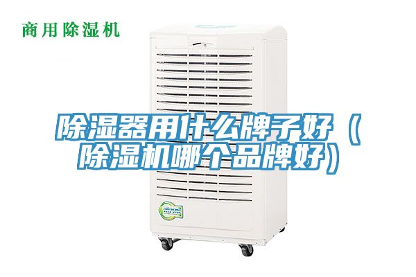 除湿器用什么牌子好（除湿机哪个品牌好）