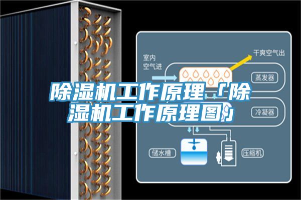 除湿机工作原理「除湿机工作原理图」