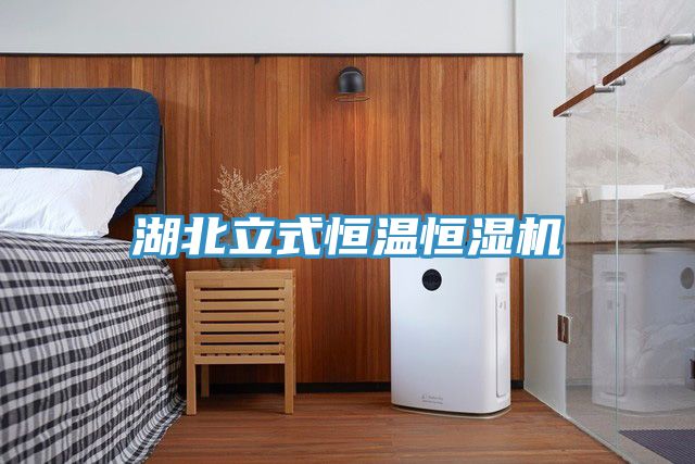 湖北立式恒温恒湿机