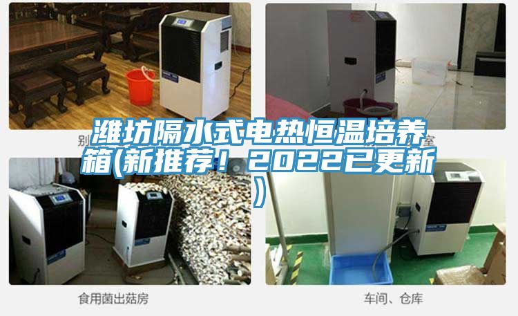 潍坊隔水式电热恒温培养箱(新推荐！2022已更新)