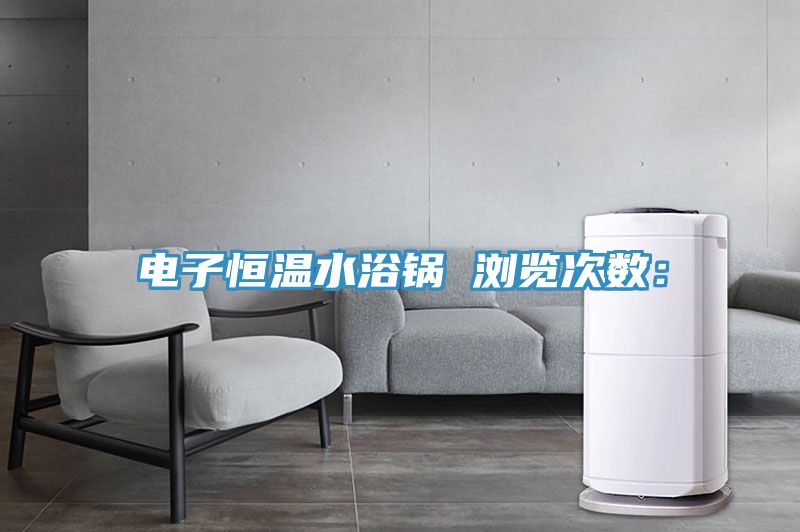 电子恒温水浴锅　　浏览次数：