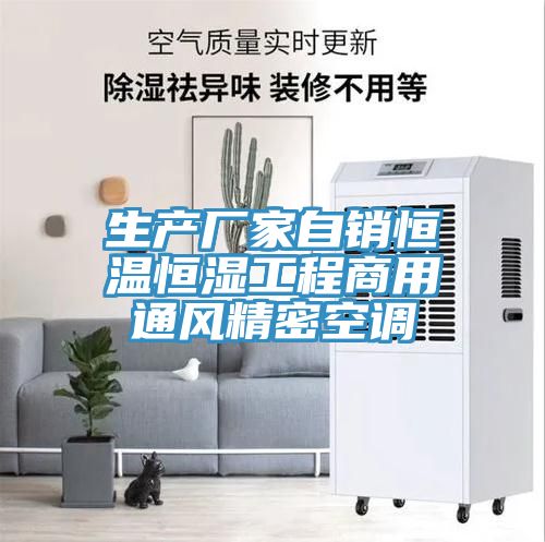生产厂家自销恒温恒湿工程商用通风精密空调