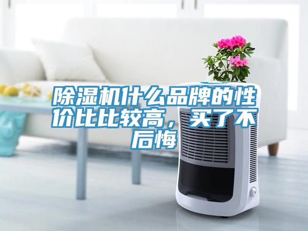 除湿机什么品牌的性价比比较高，买了不后悔