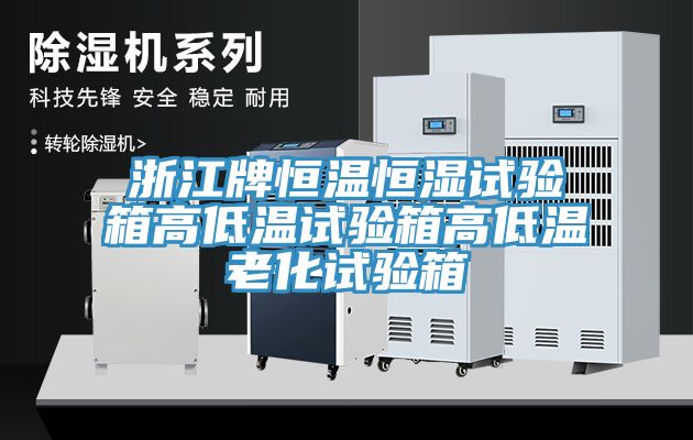 浙江牌恒温恒湿试验箱高低温试验箱高低温老化试验箱