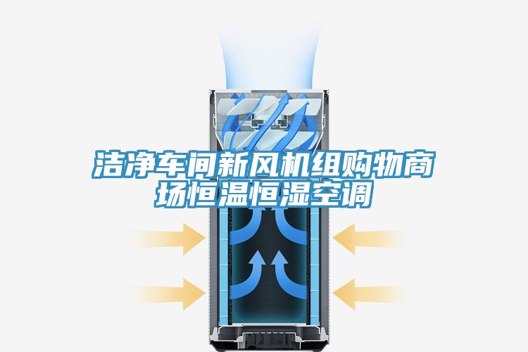 洁净车间新风机组购物商场恒温恒湿空调
