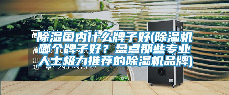 除湿国内什么牌子好(除湿机哪个牌子好？盘点那些专业人士极力推荐的除湿机品牌)