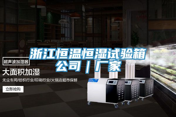 浙江恒温恒湿试验箱公司｜厂家