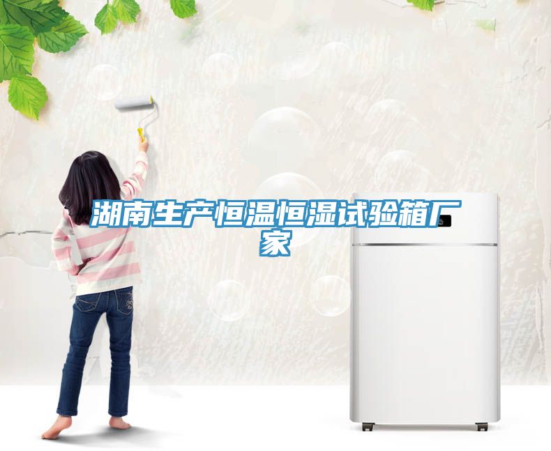 湖南生产恒温恒湿试验箱厂家
