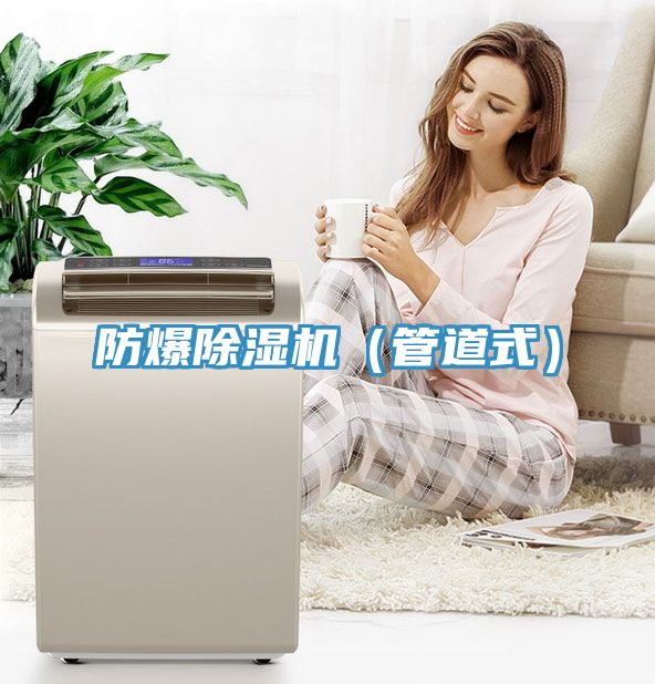 防爆除湿机（管道式）